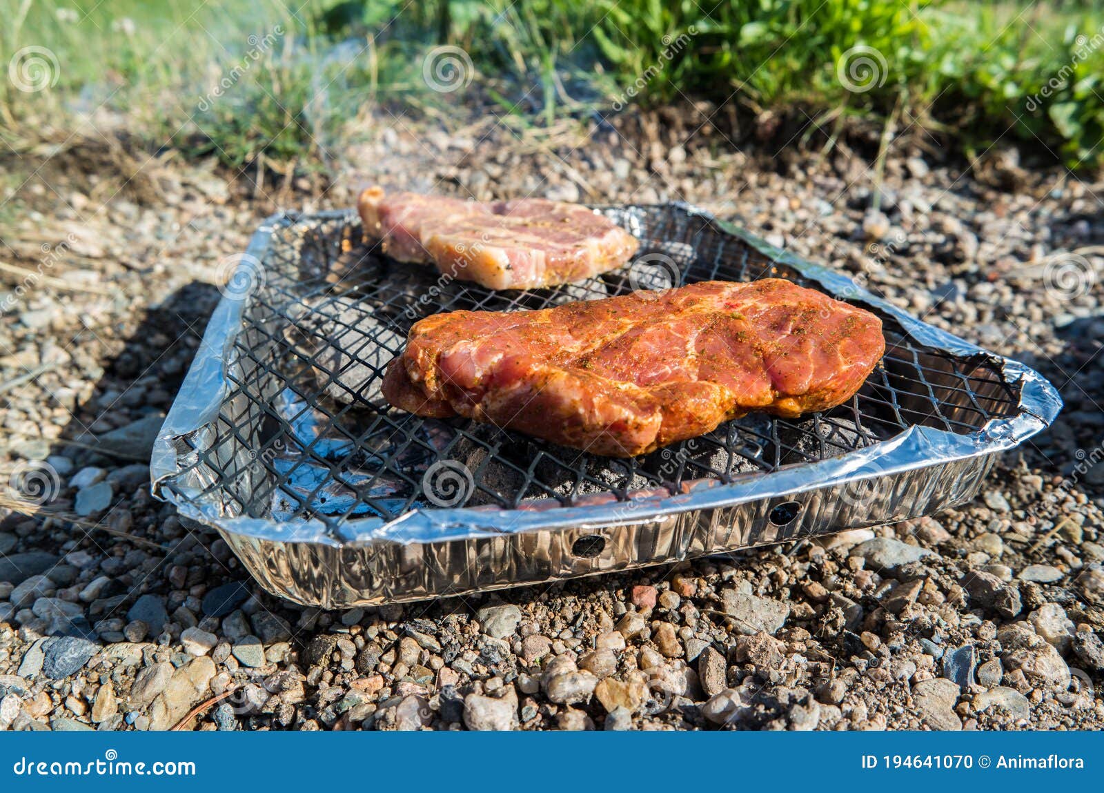 Disposable Grill at Camping Image Stock Photo Image of nuremberg