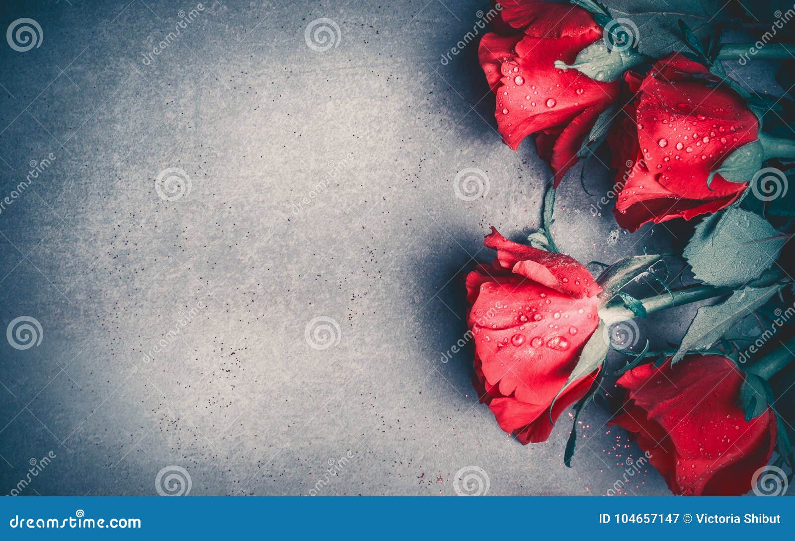 Belas Rosas Em Inglês. Rosas Rosadas Rosas Rosas Lindas, Em Forma De Peão.  Dia Dos Namorados Foto de Stock - Imagem de flor, planta: 244620780