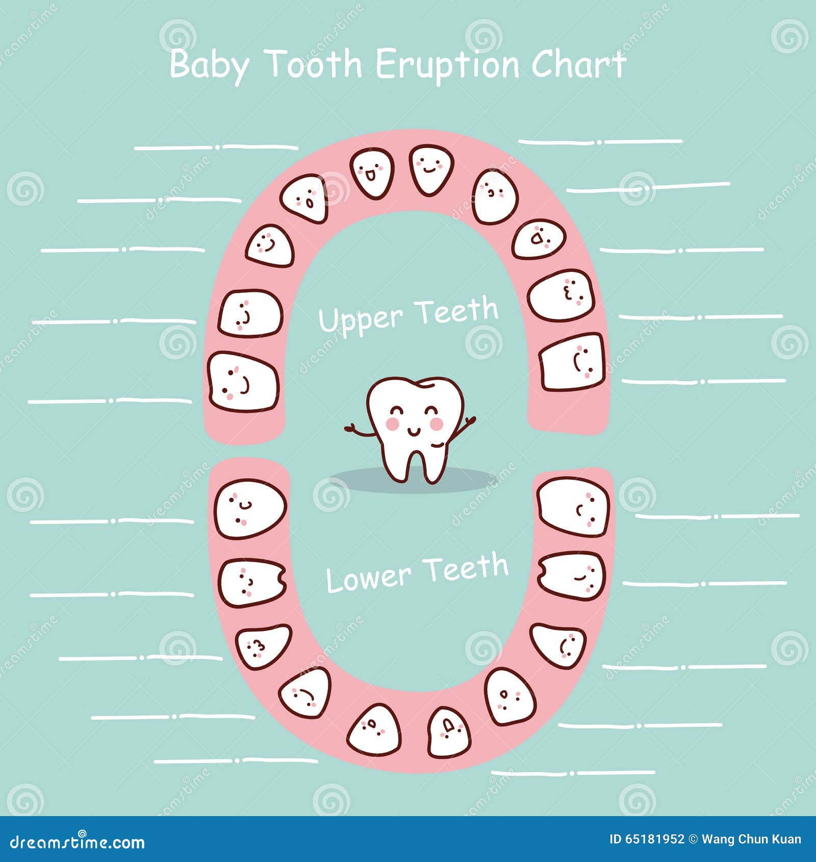 disque de diagramme de dent de lait 65181952