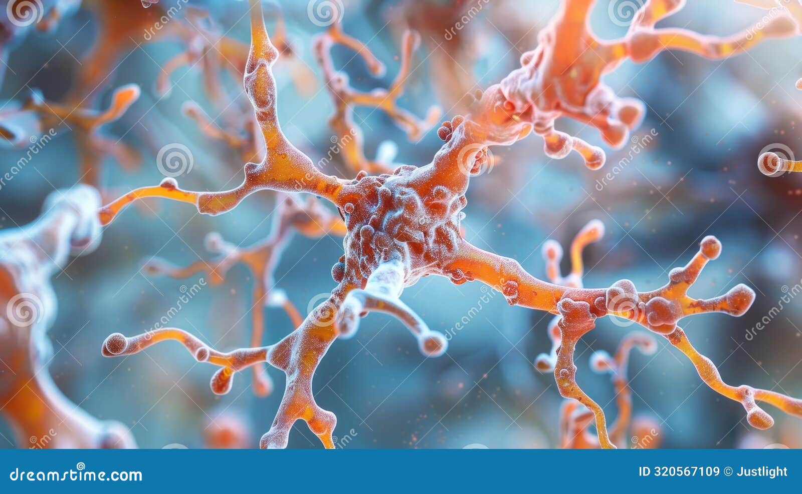 the disruption of the delicate balance between pro and antiangiogenic factors causing the angiogenic switch to tilt in