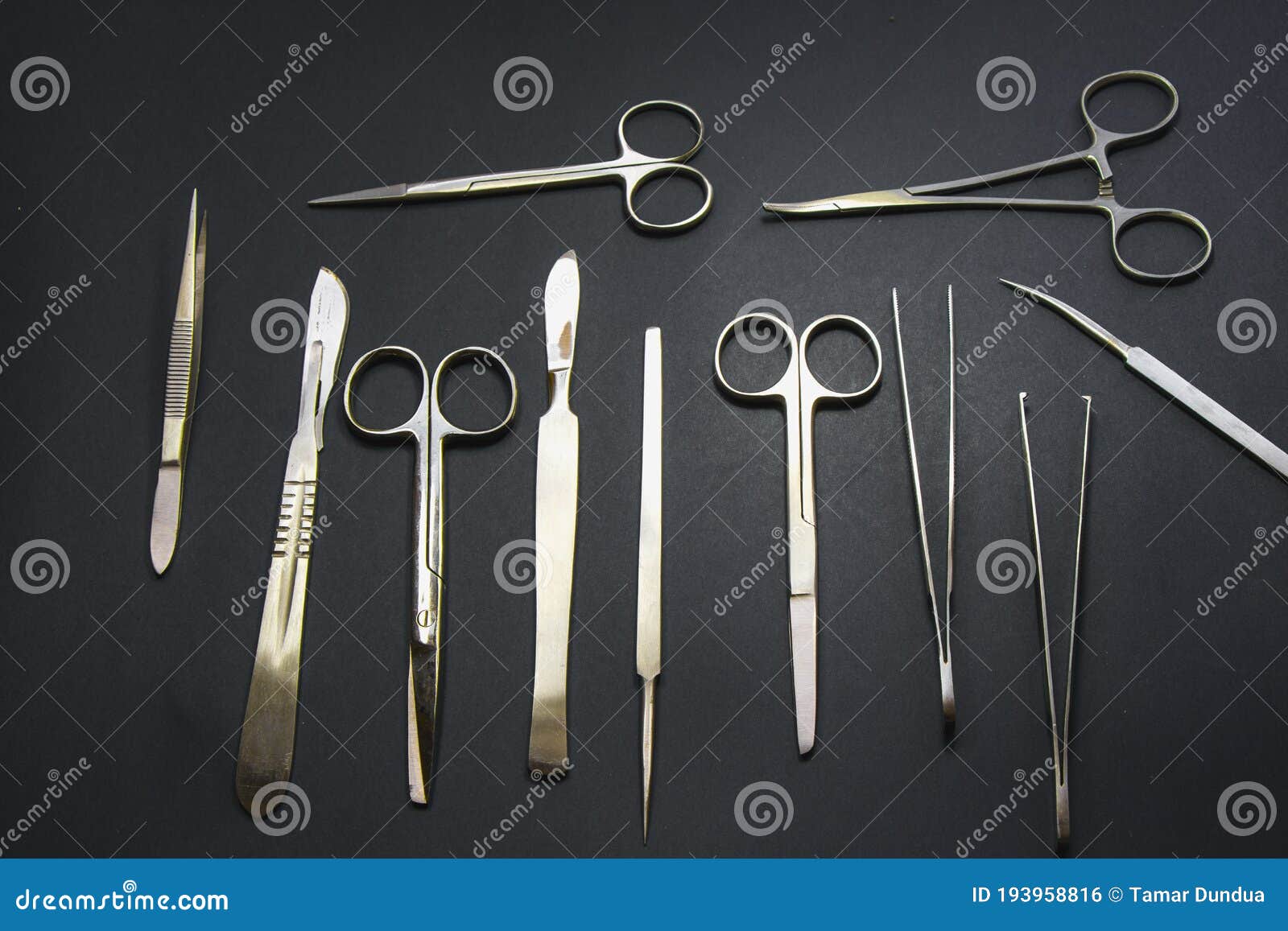 gross anatomy dissection video tools gross anatomy dissection video tools