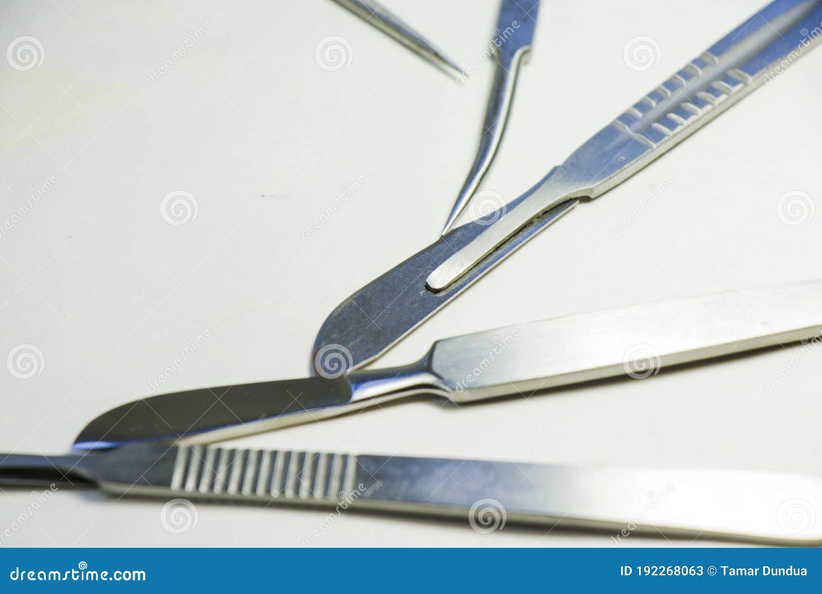 gross anatomy dissection video tools gross anatomy dissection video tools