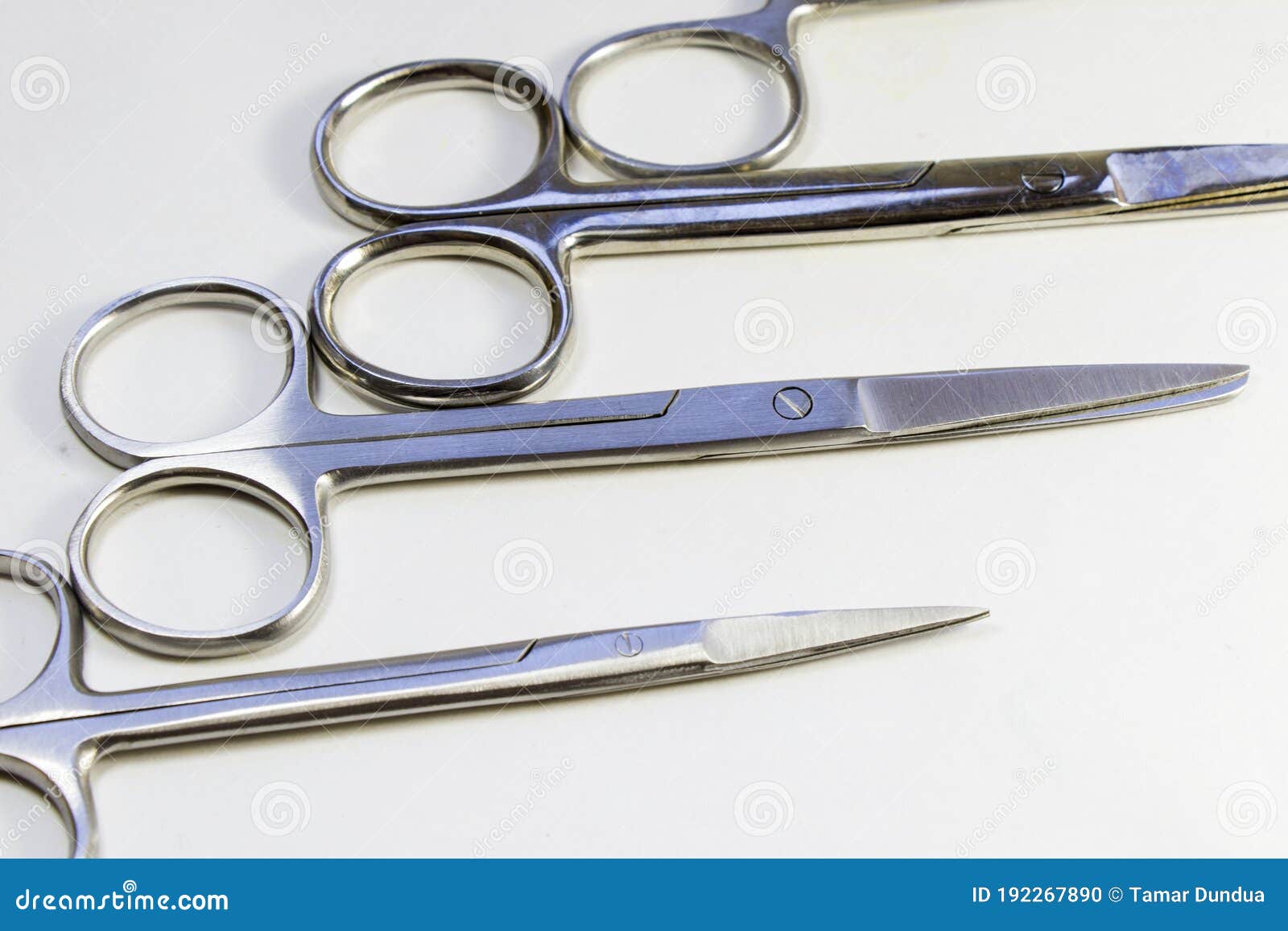 Dissection Kit - Premium Quality Stainless Steel Tools for Medical ...