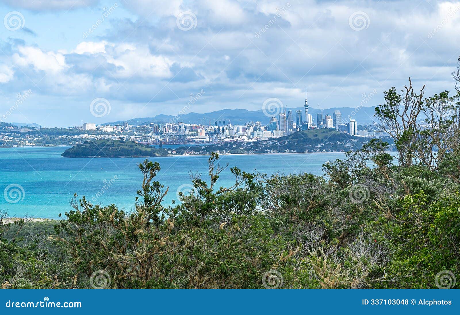 auckland unfolds like a vibrant tapestry against the backdrop of a cloudy sky