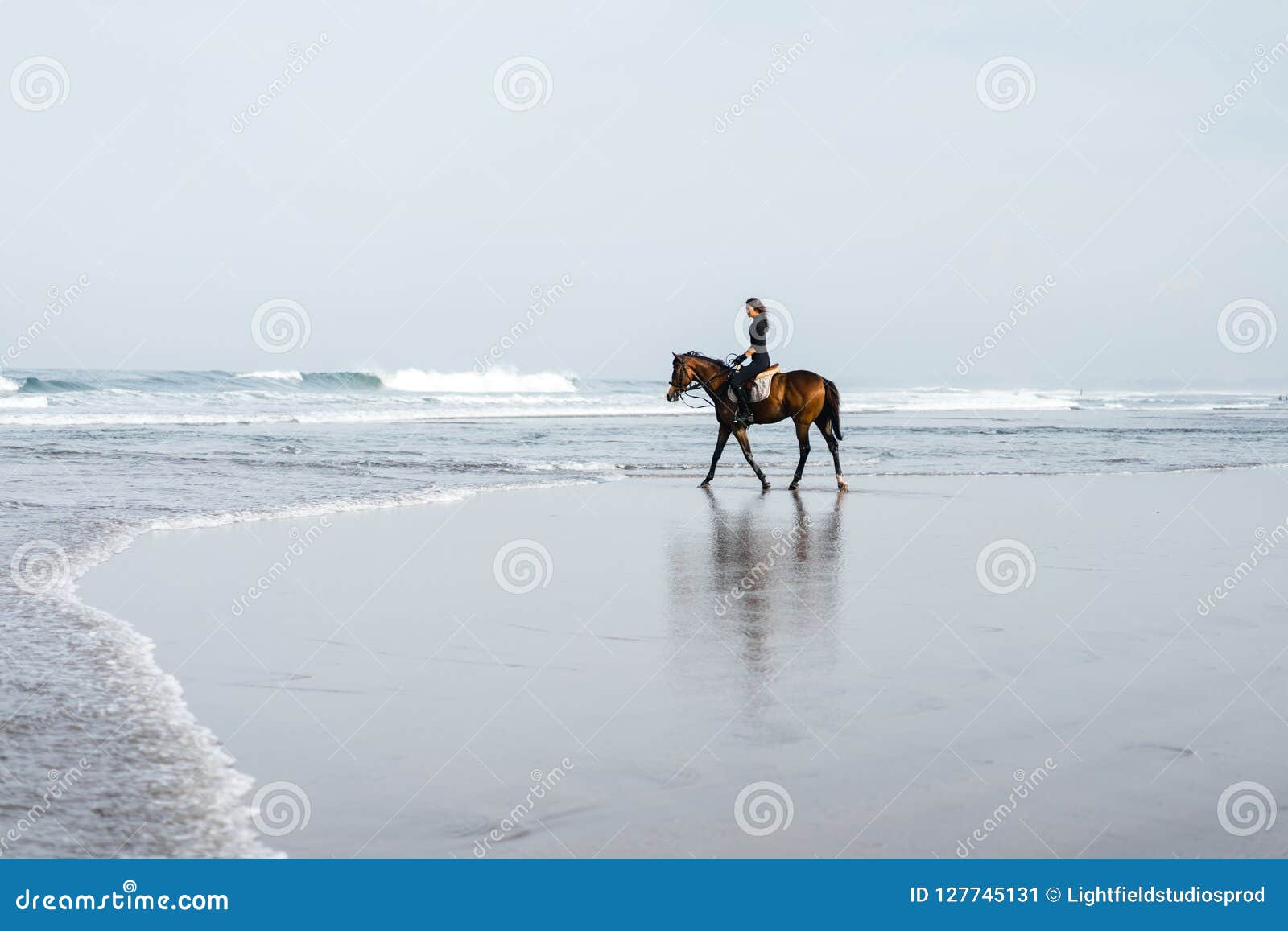 Distant View of Female Equestrian Riding Horse on Sandy Stock Image