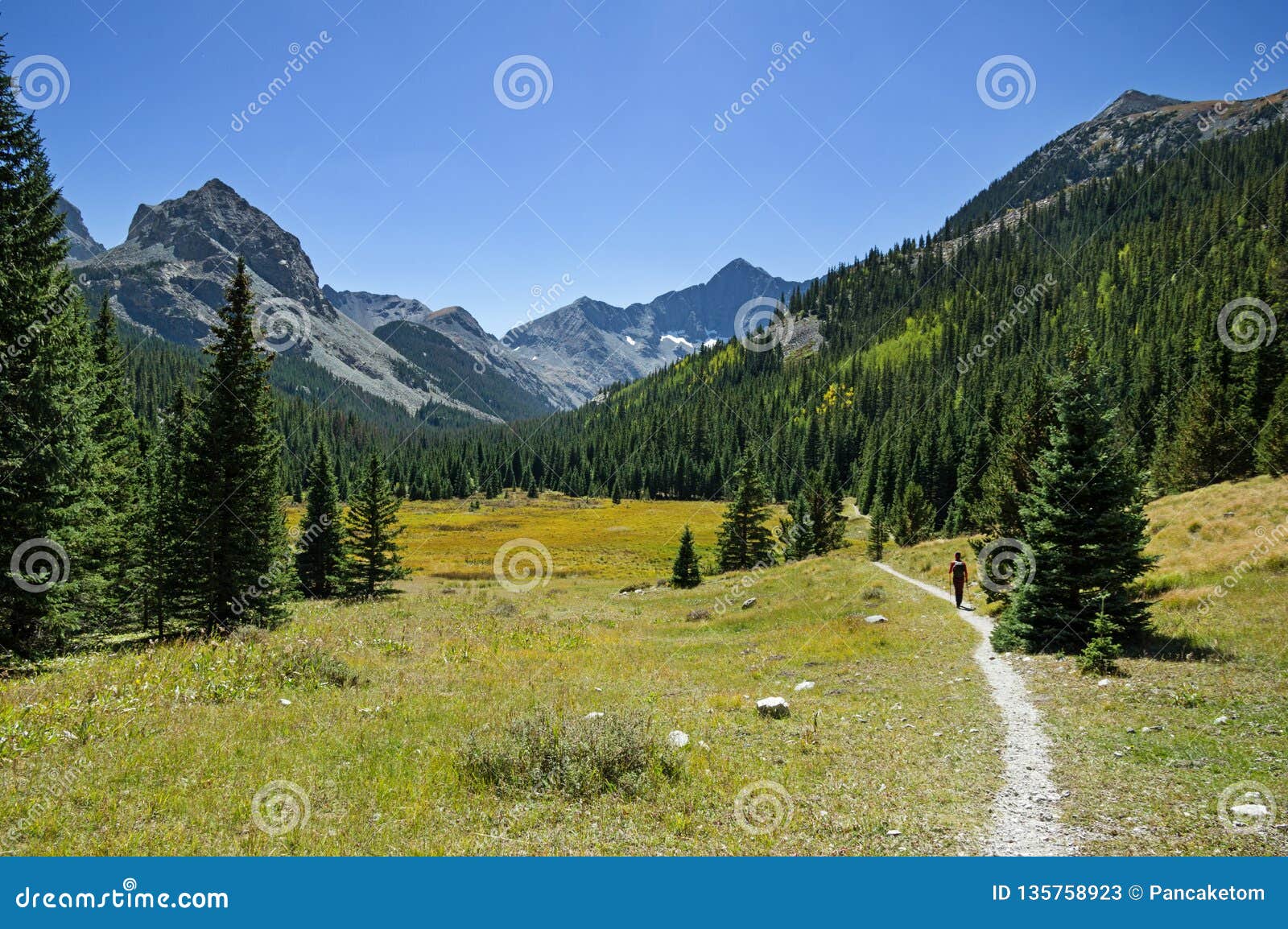 woman hiking away on sangre de cristo mountain trail