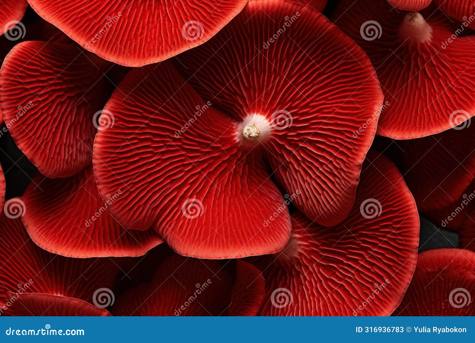 distinctive red mushroom pattern. generate ai