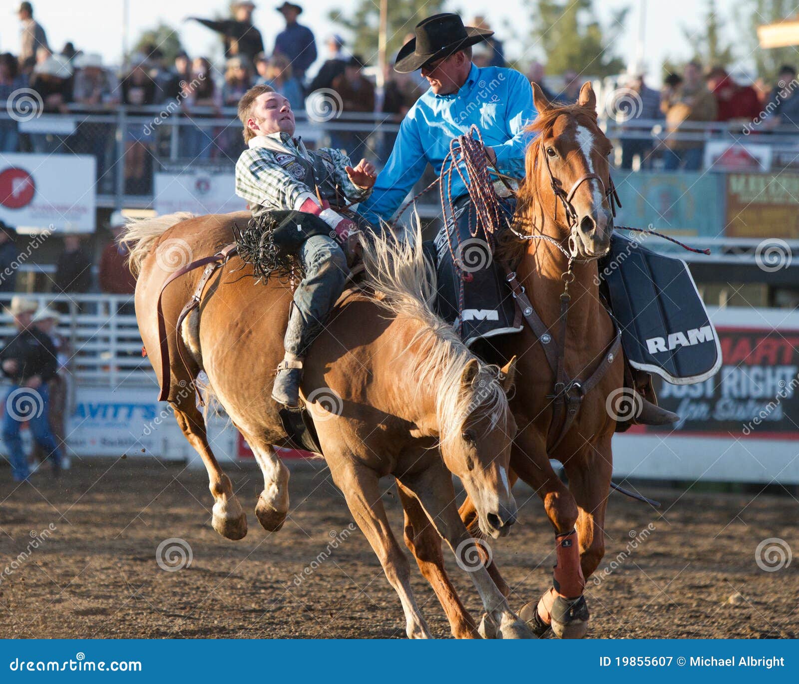Distressed Cowboy Sisters, Oregon Rodeo 2011 Editorial Photography Image of steer, horse
