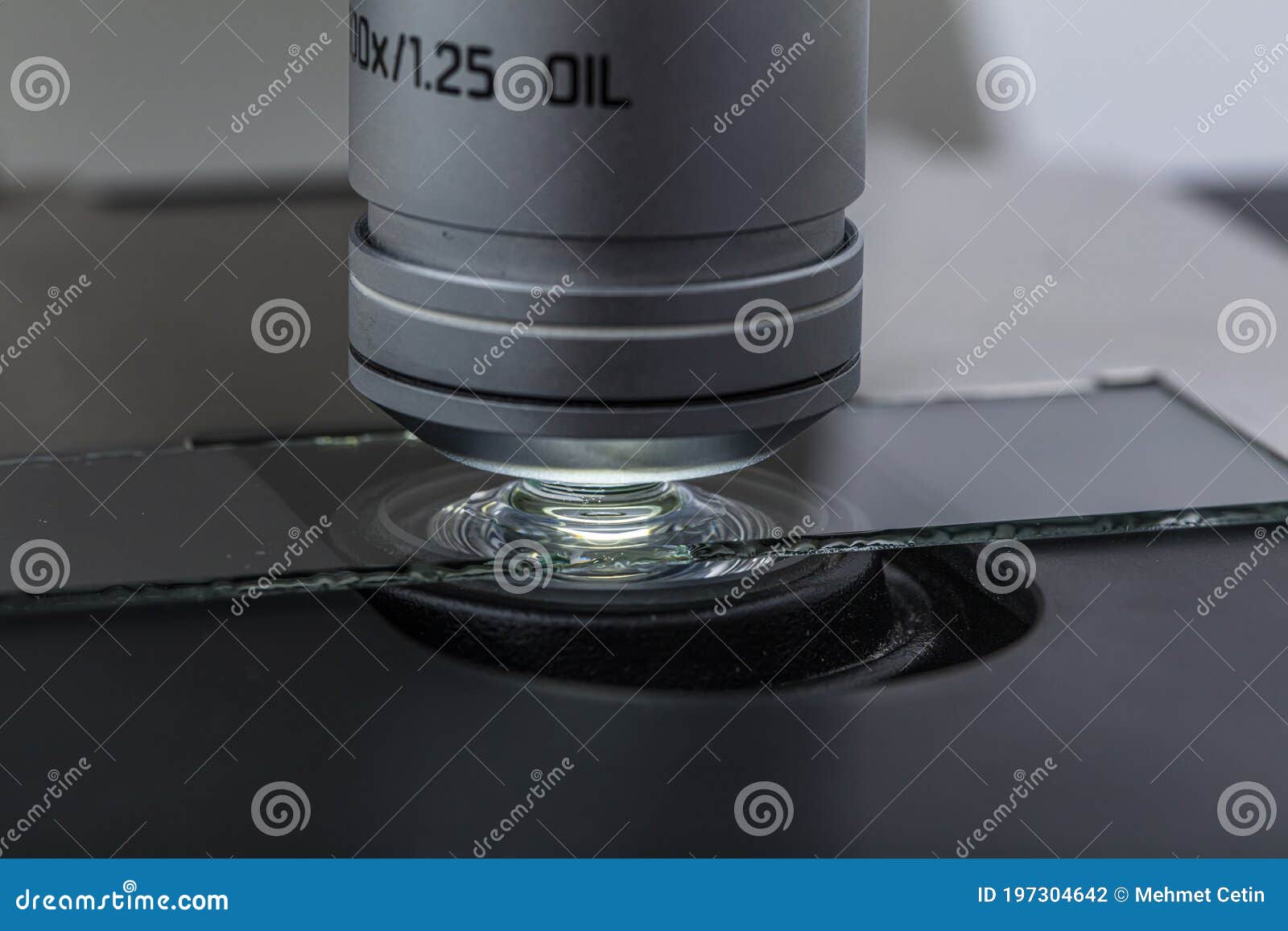 Distribution of Immersion Oil Under Light Microscope Objective Lens