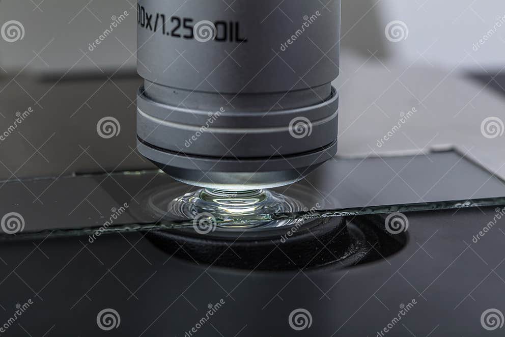 Distribution of Immersion Oil Under Light Microscope Objective Lens