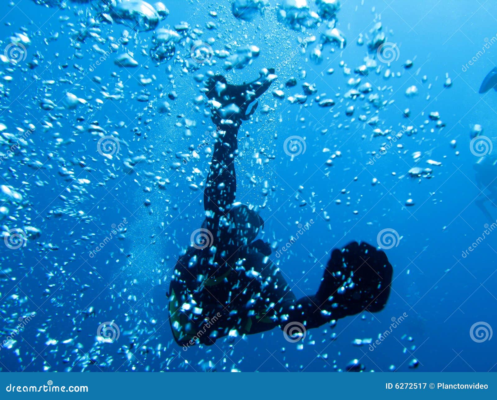 Diver and bubbles stock image. Image of diver, bubbles 6272517