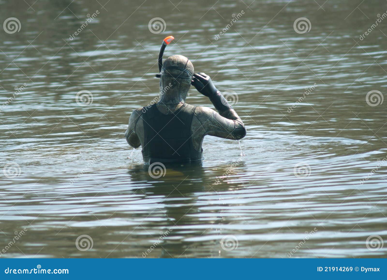 Diver Dressed in Diving Suit Ready To Swim Stock Image Image of