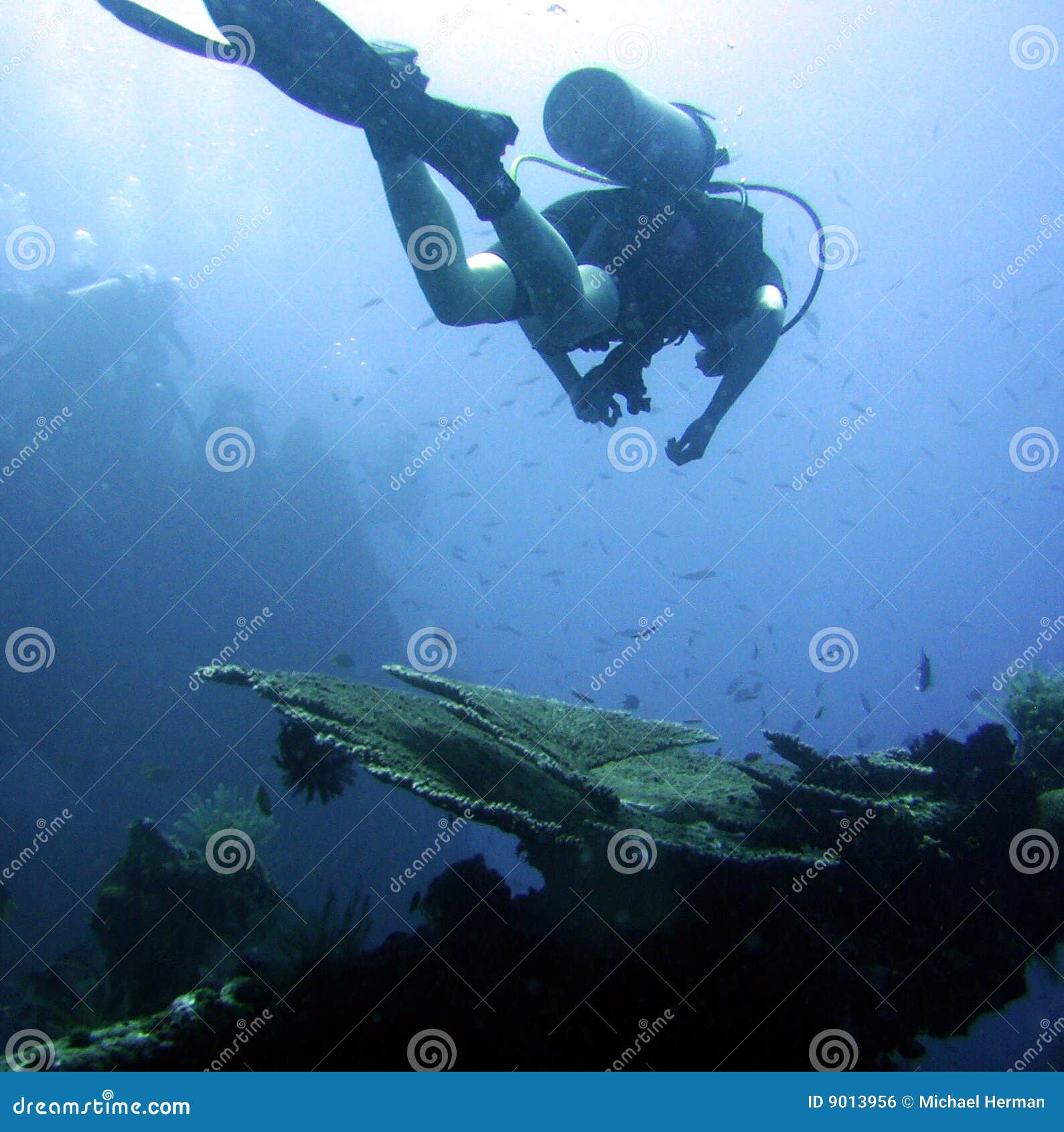 diver exploring wrecked ship