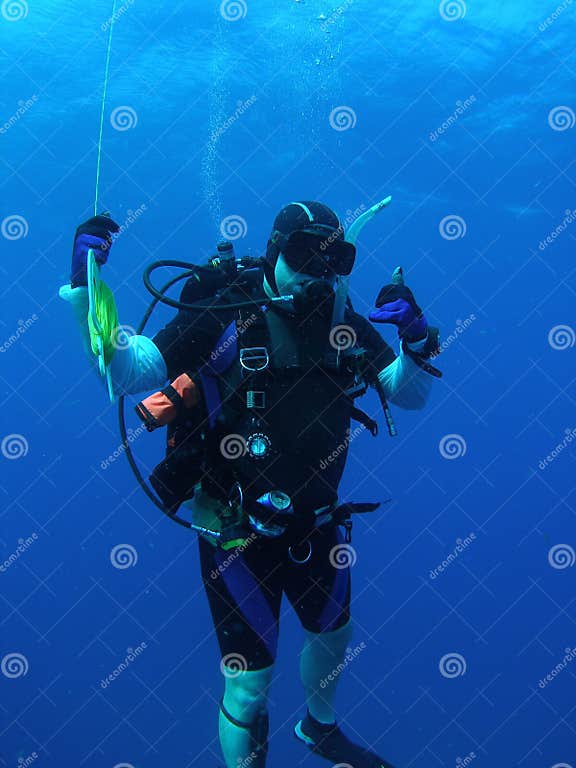 Diver at Safety Stop stock photo. Image of reef, dive 19532992