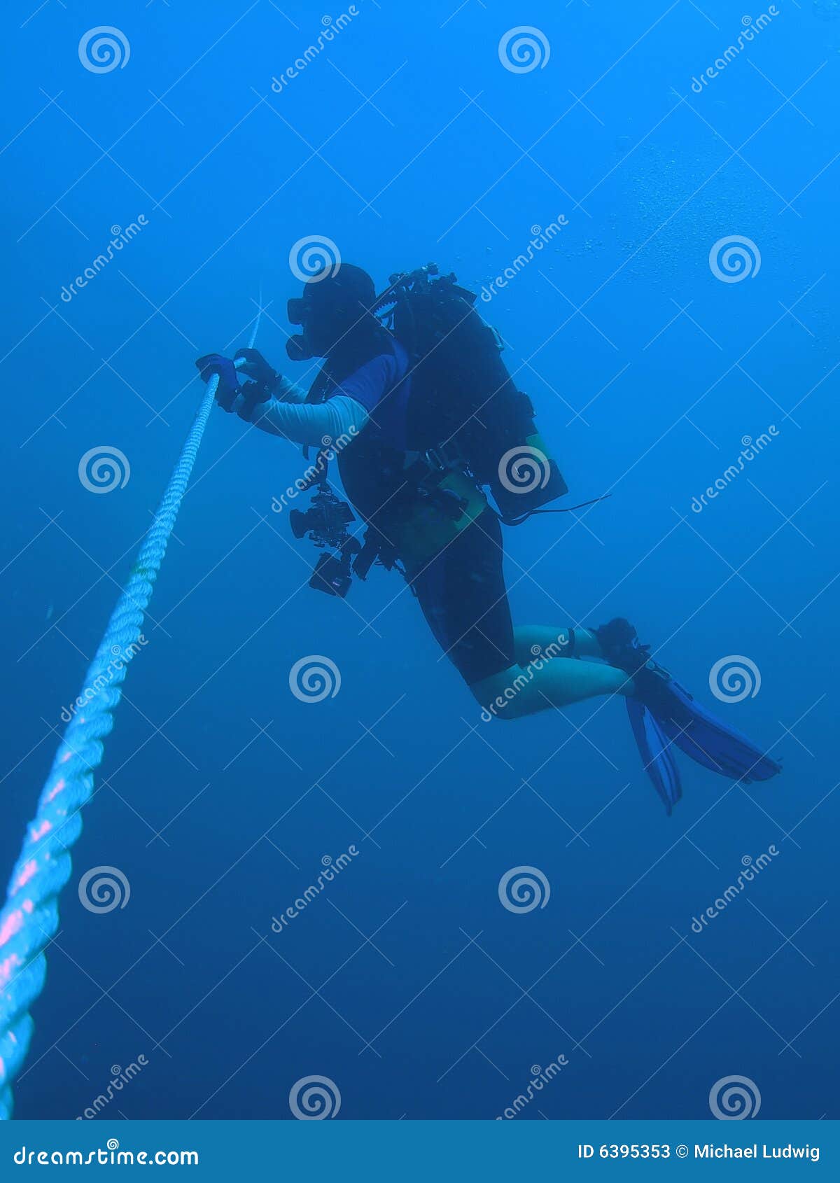 Diver at safety Stop stock image. Image of discover, coral 6395353