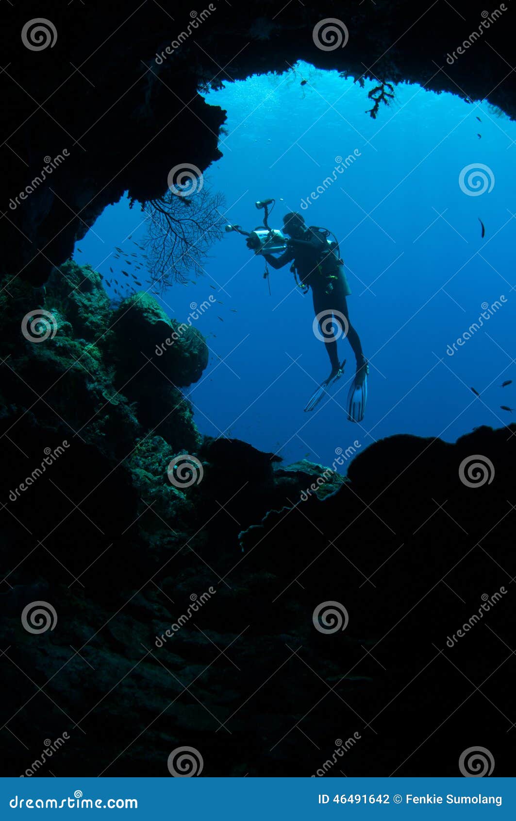 Diver Swimming in Gili, Lombok, Nusa Tenggara Barat, Indonesia ...