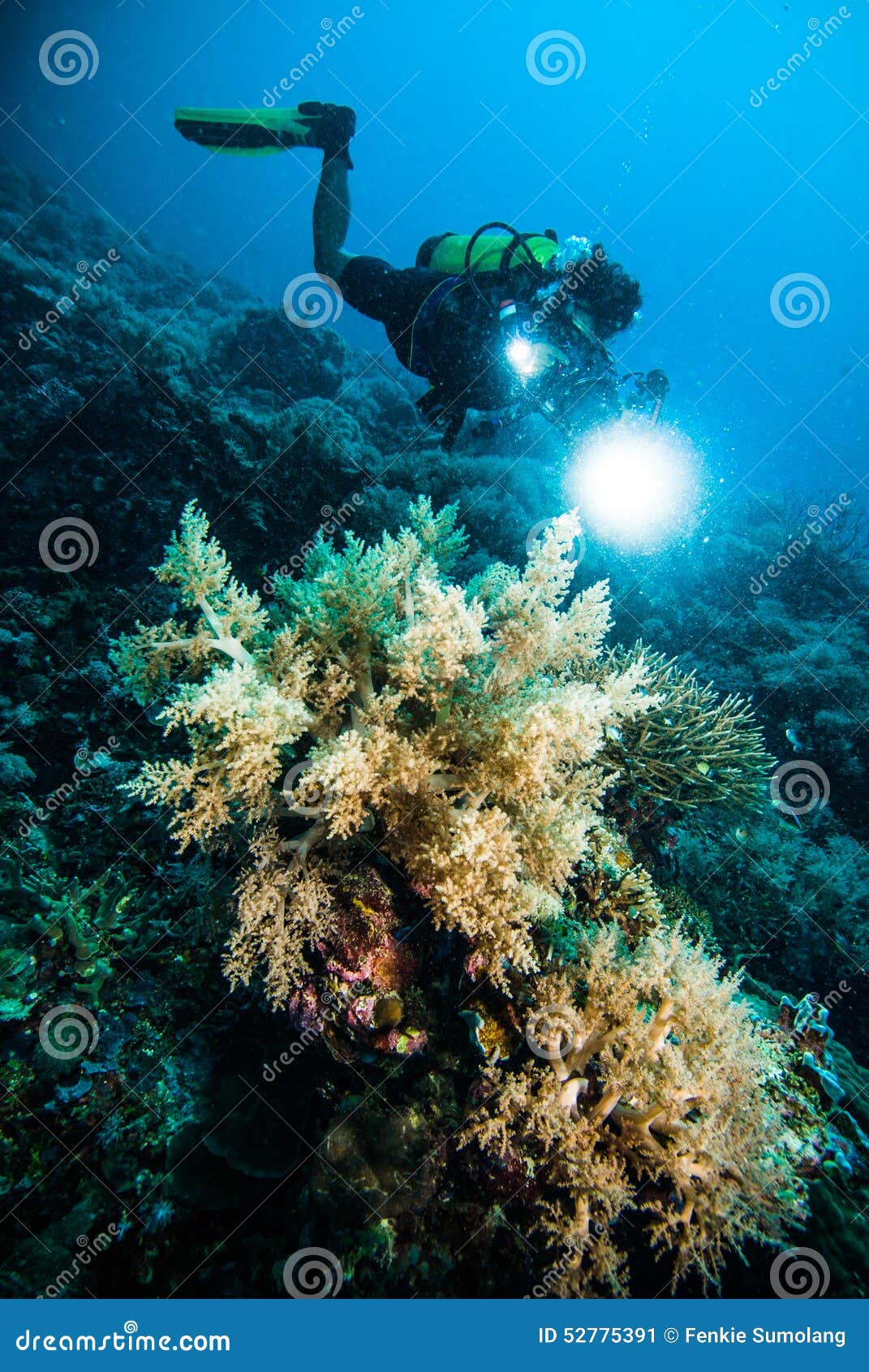 diver take a video upon coral kapoposang indonesia scuba diving