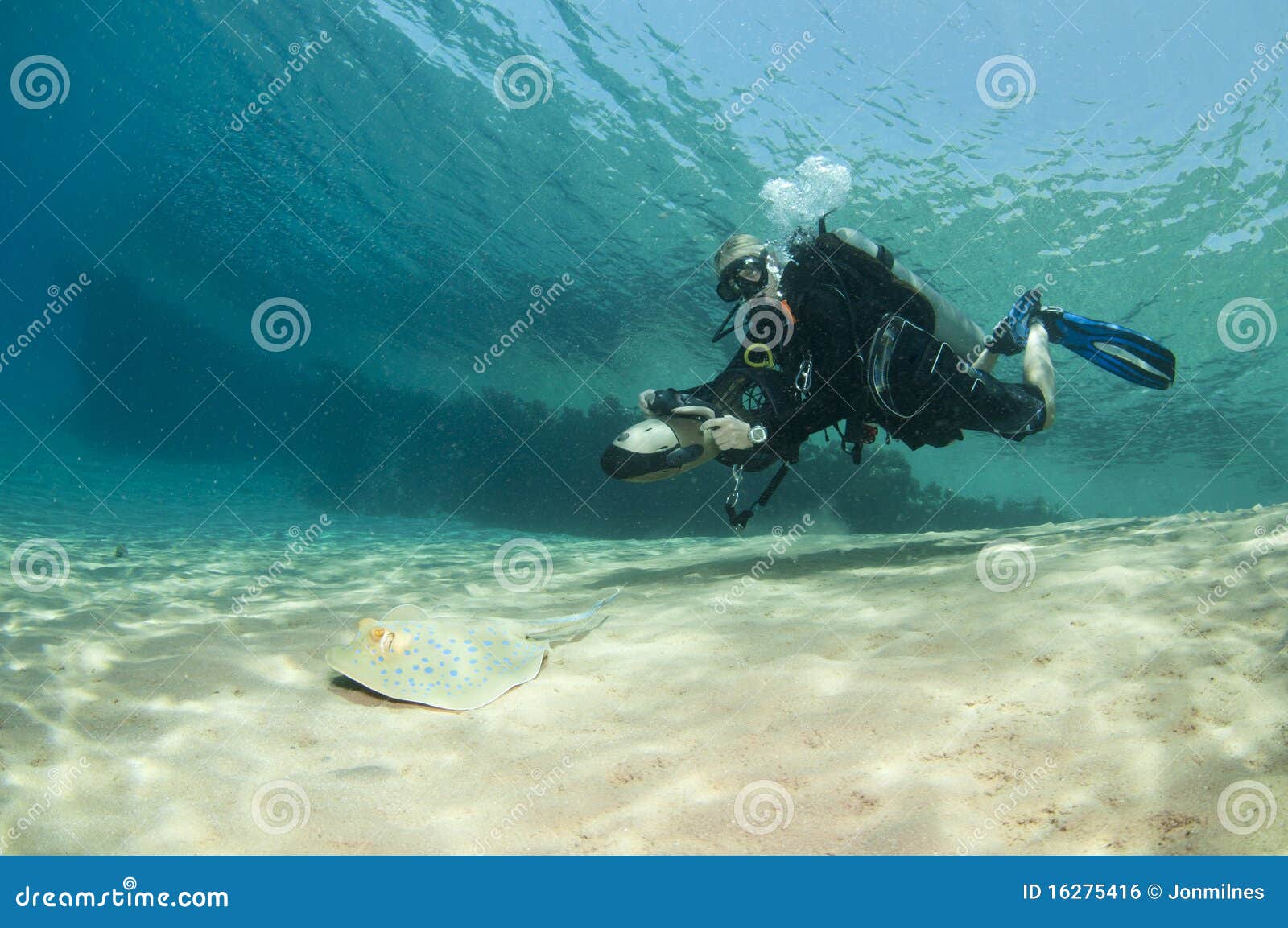 diver on underwater scooter with sting ray