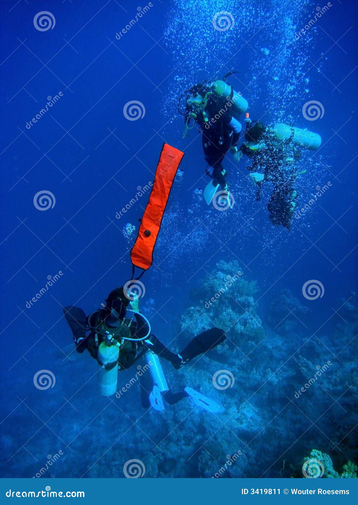 Divers deploying buoy stock image. Image of reef, sport 3419811