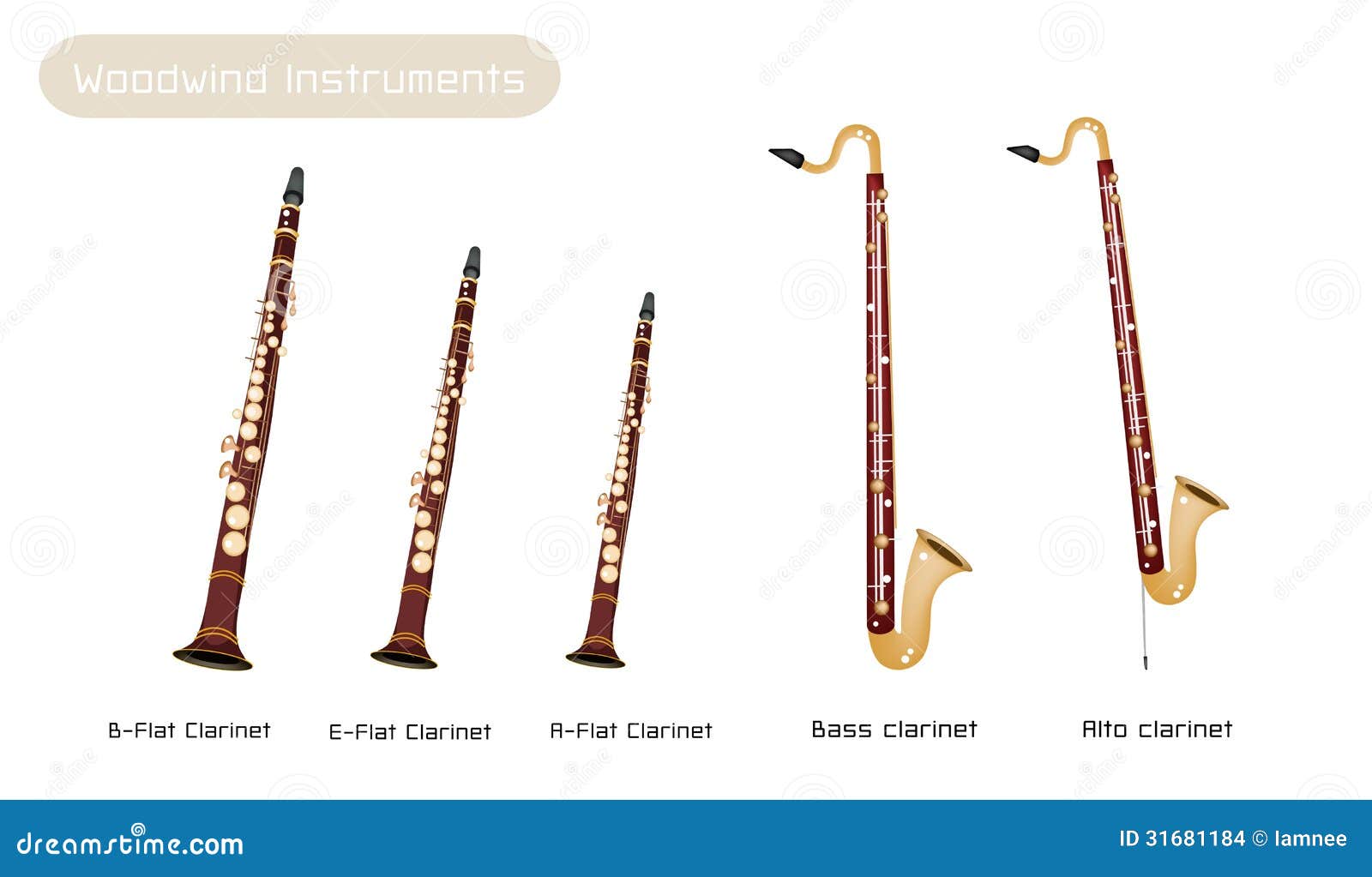 Divers Genre De D'isolement Sur Backgr Blanc Illustration