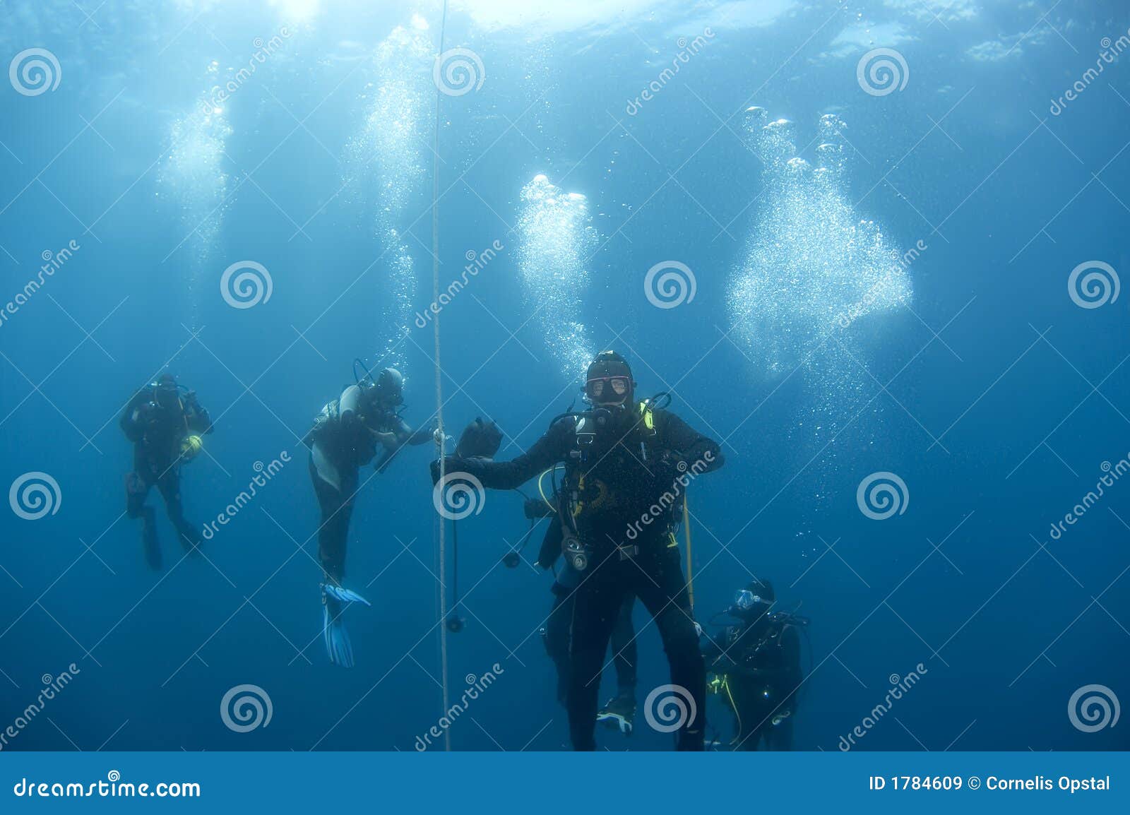 Divers on Safetystop on Buoy, Croatia Stock Image Image of stop