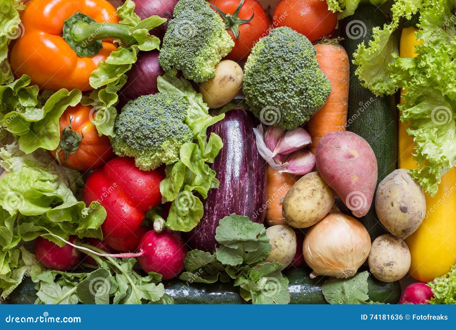 Incubus doel aangenaam Diverse Groenten Met Verse Groen Stock Foto - Image of voedsel, gezond:  74181636