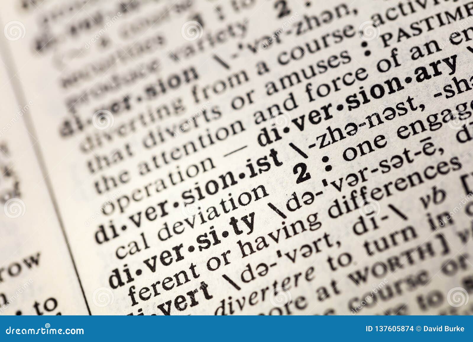 Diversity Diverse Racial Difference Dictionary Stock Photo Image of