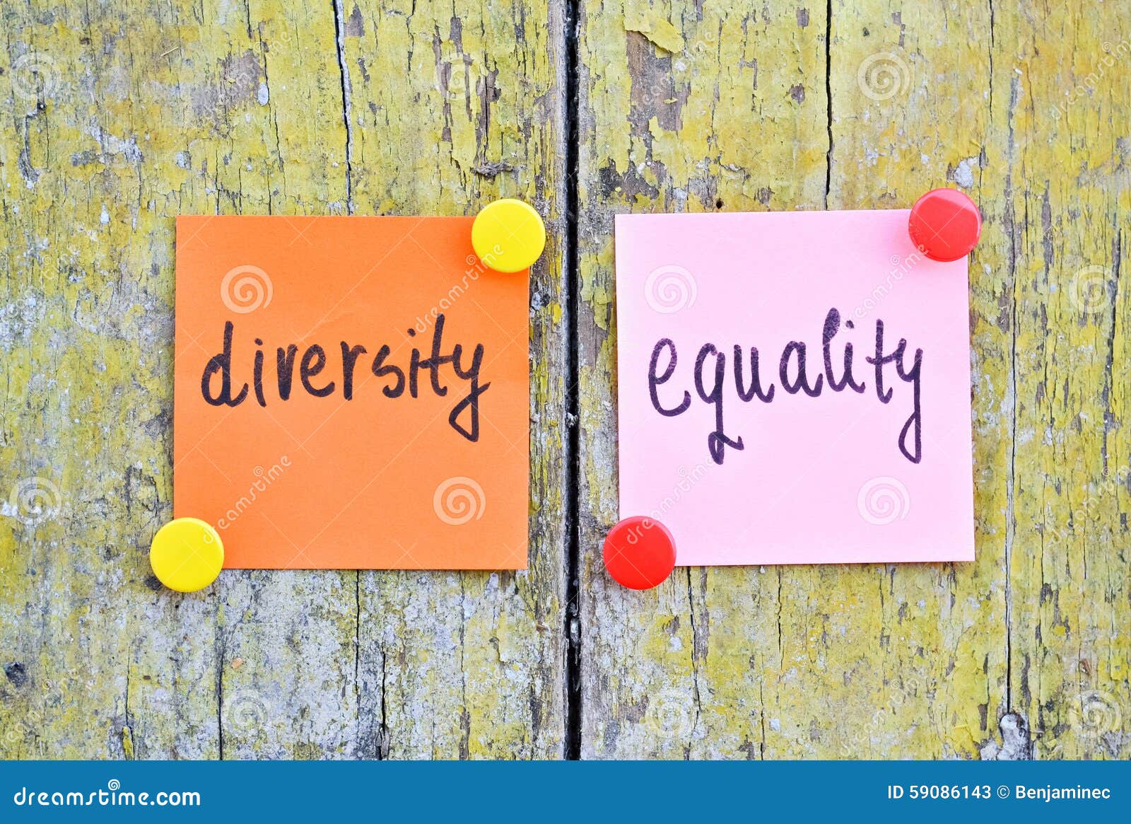 diversity and equality