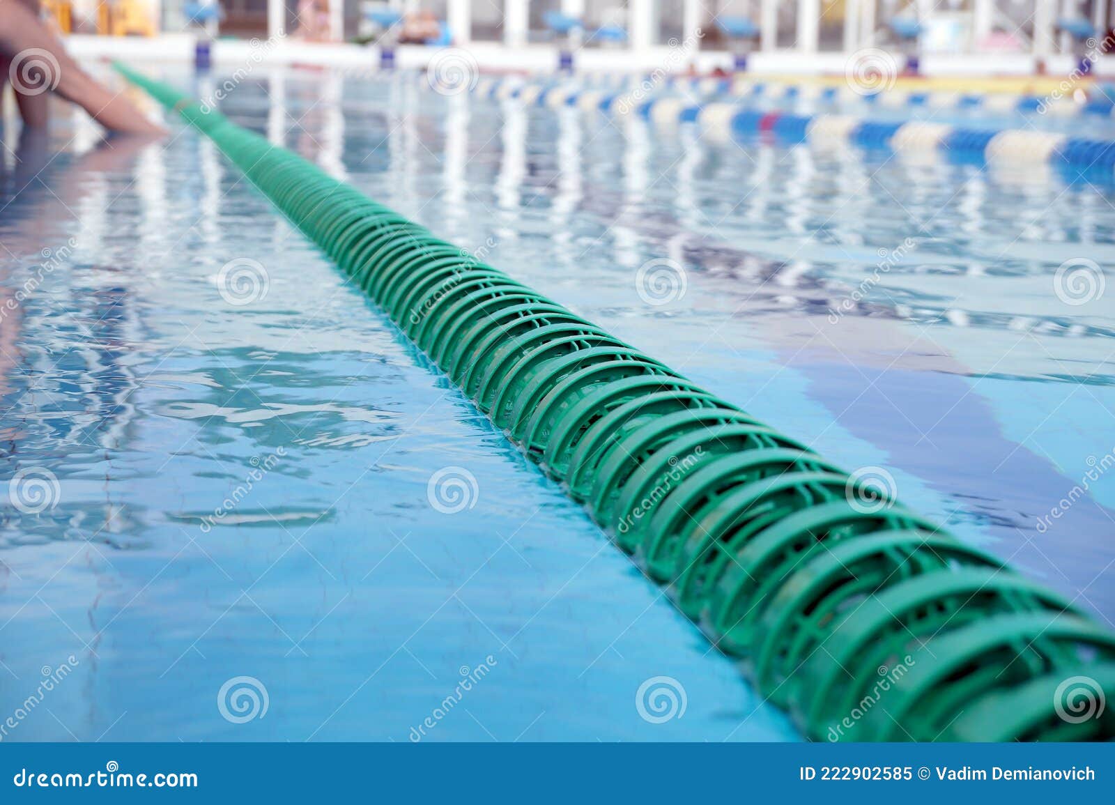 Dividers of Paths in the Big Swimming Pool Stock Image Image of