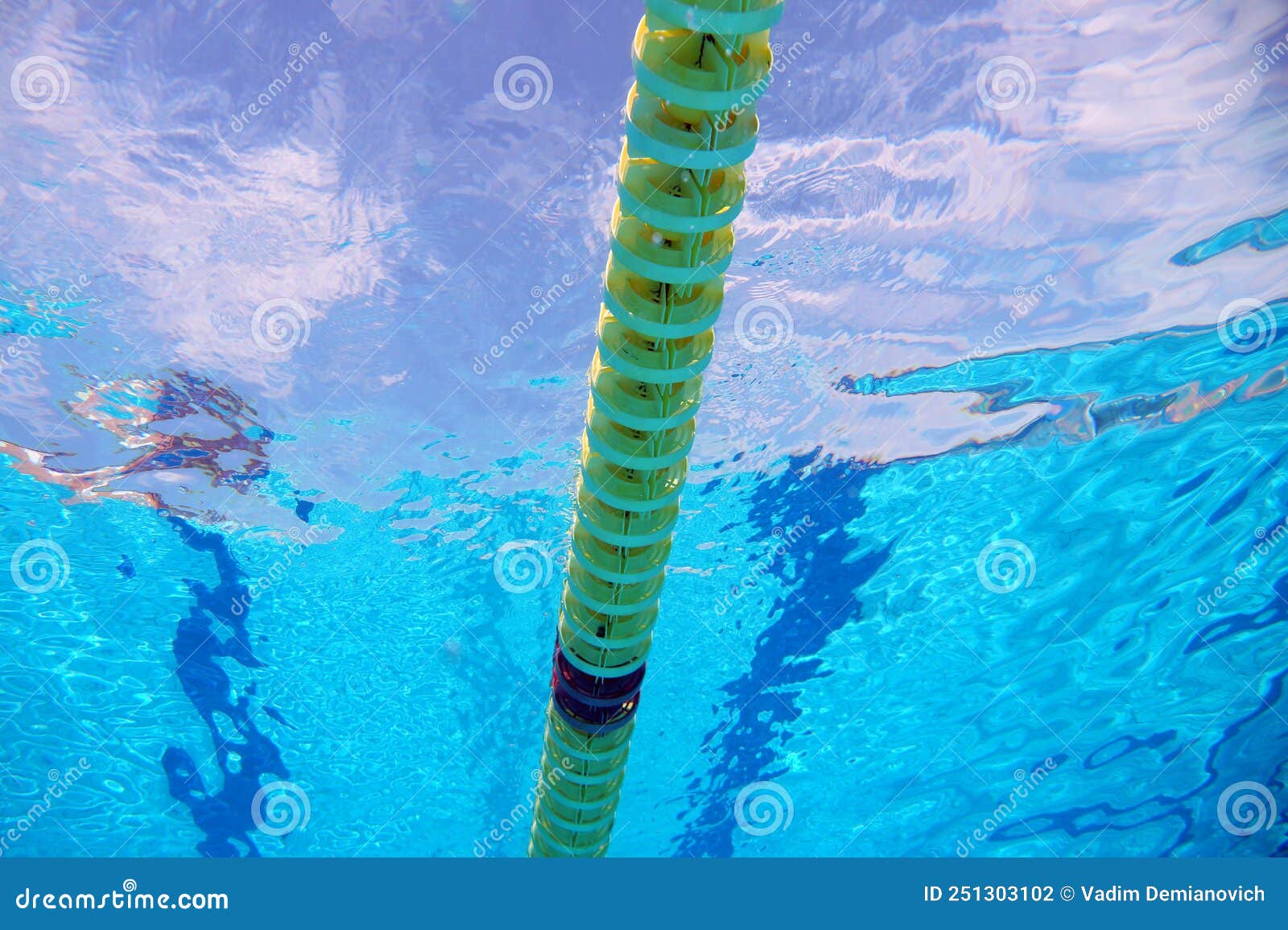 Dividers of Paths in the Swimming Pool Stock Photo Image of health