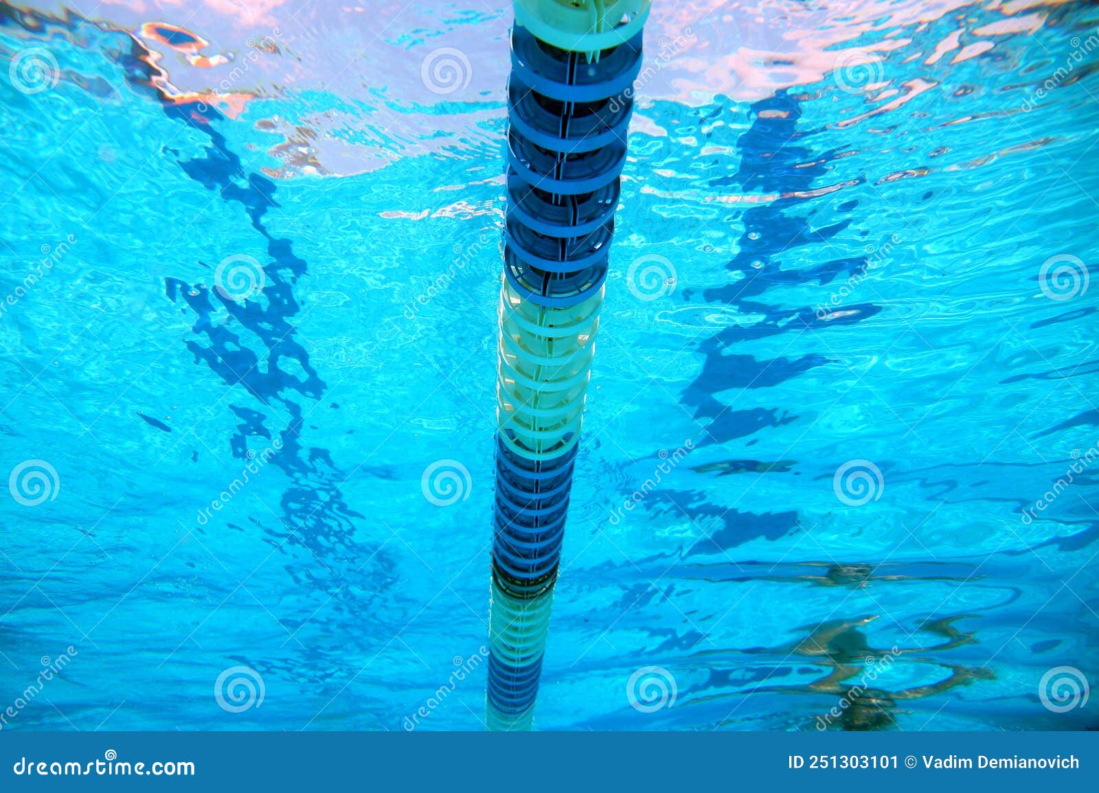 Dividers of Paths in the Swimming Pool Stock Image Image of training