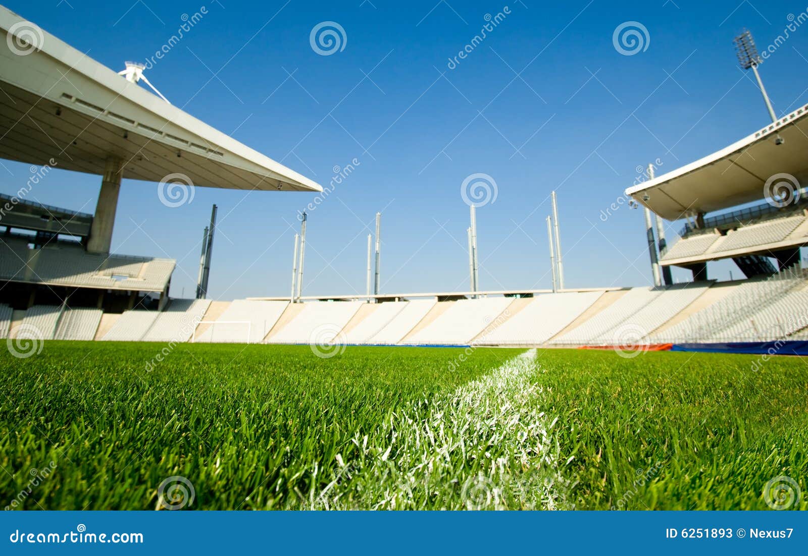 dividing line on green grass