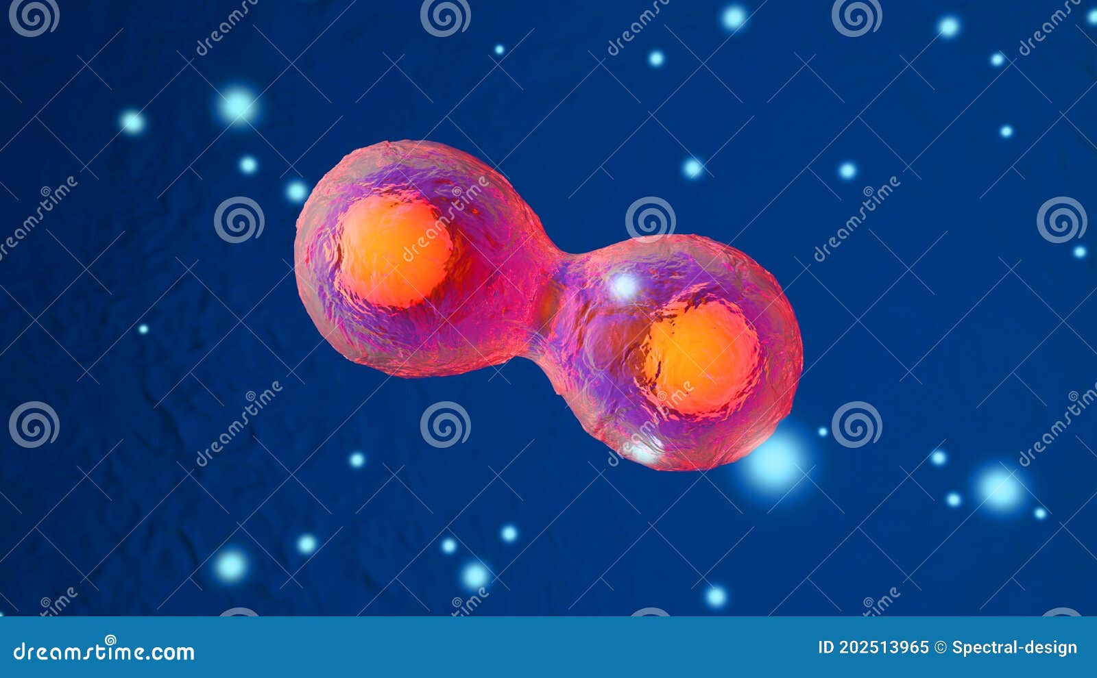 Dividing stem cells stock illustration. Illustration of life Biology Diagrams