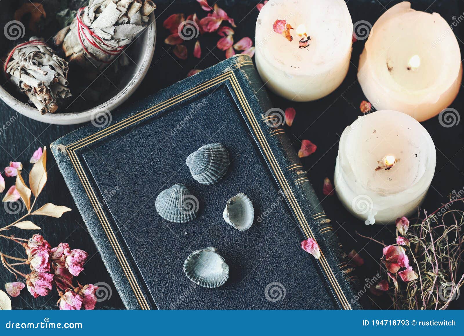 Divination Using Sea Shells in Hoodoo Witchcraft Practice on Wiccan Witch  Altar Stock Image - Image of future, evergreen: 194718793