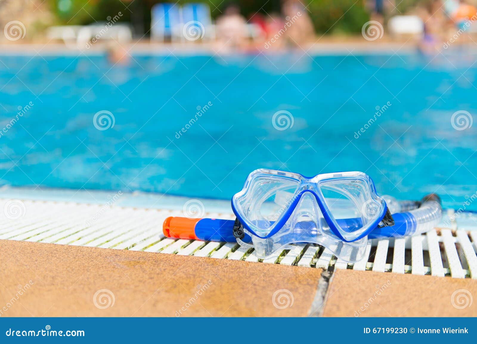Diving Equipment at Swimming Pool Stock Photo Image of