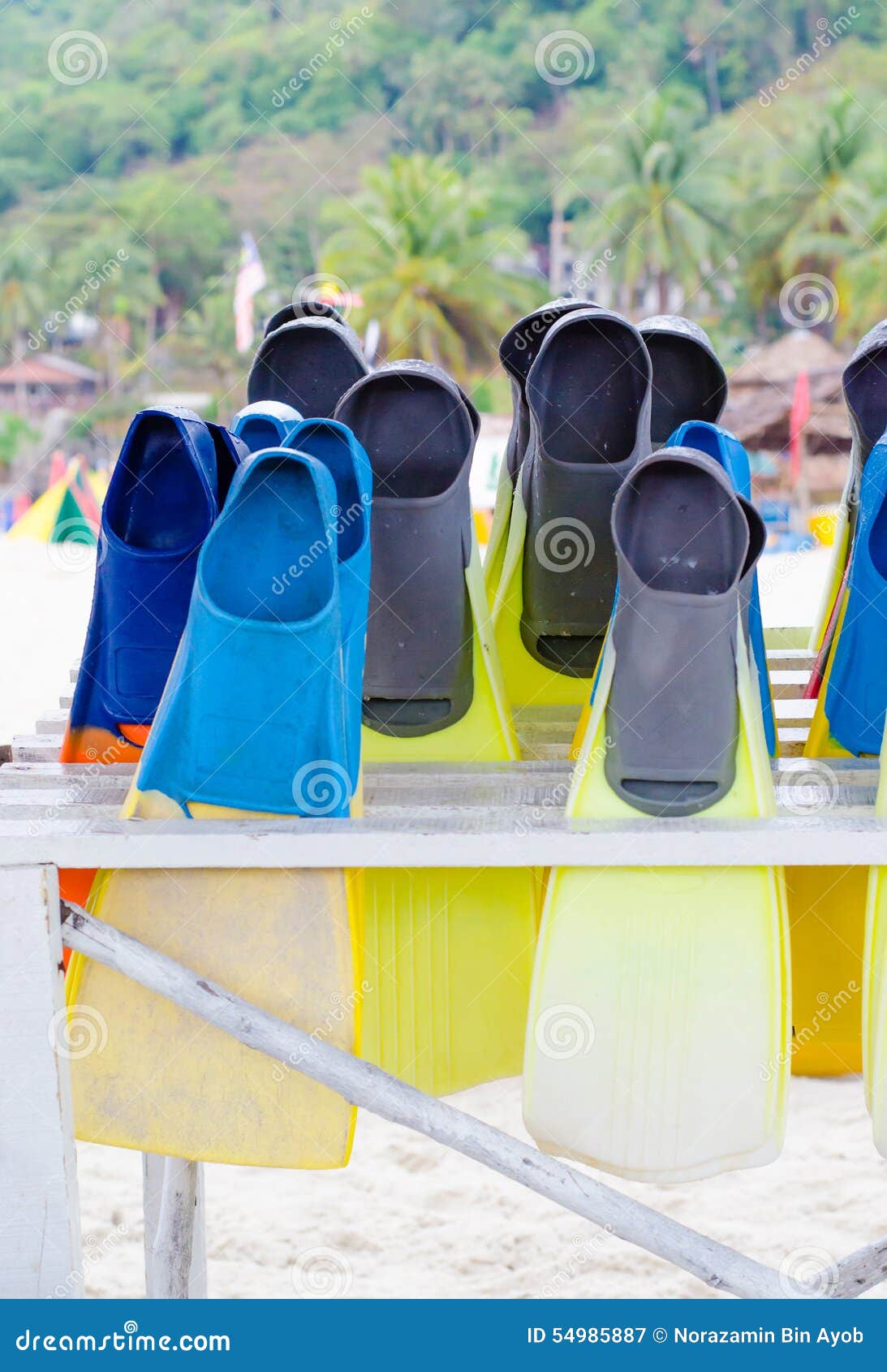 Diving Fins Arranged on Rack Stock Image Image of snorkel, flipper