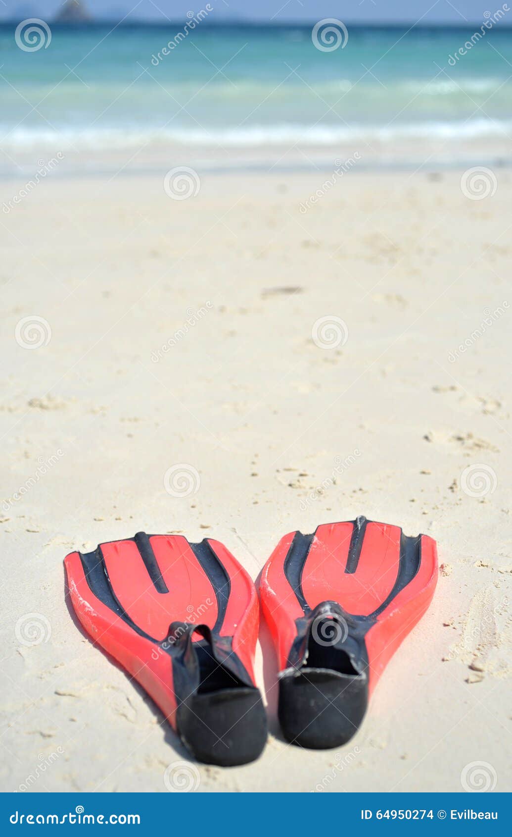 Diving fins stock photo. Image of focus, security, flipper 64950274