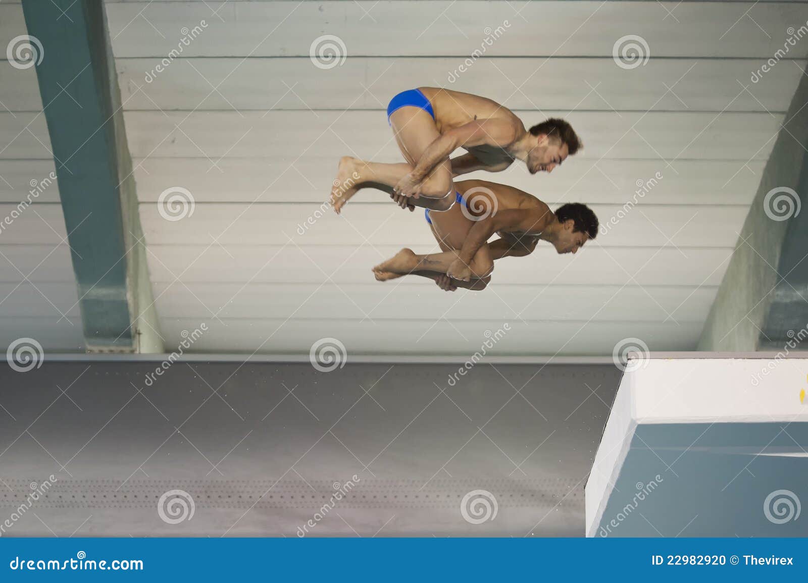 Diving Italian Indoor Championships Editorial Image Image of energy
