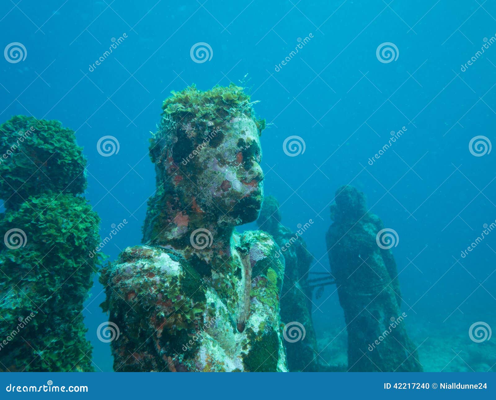 Diving at the Underwater Museum Cancun Editorial Image Image of