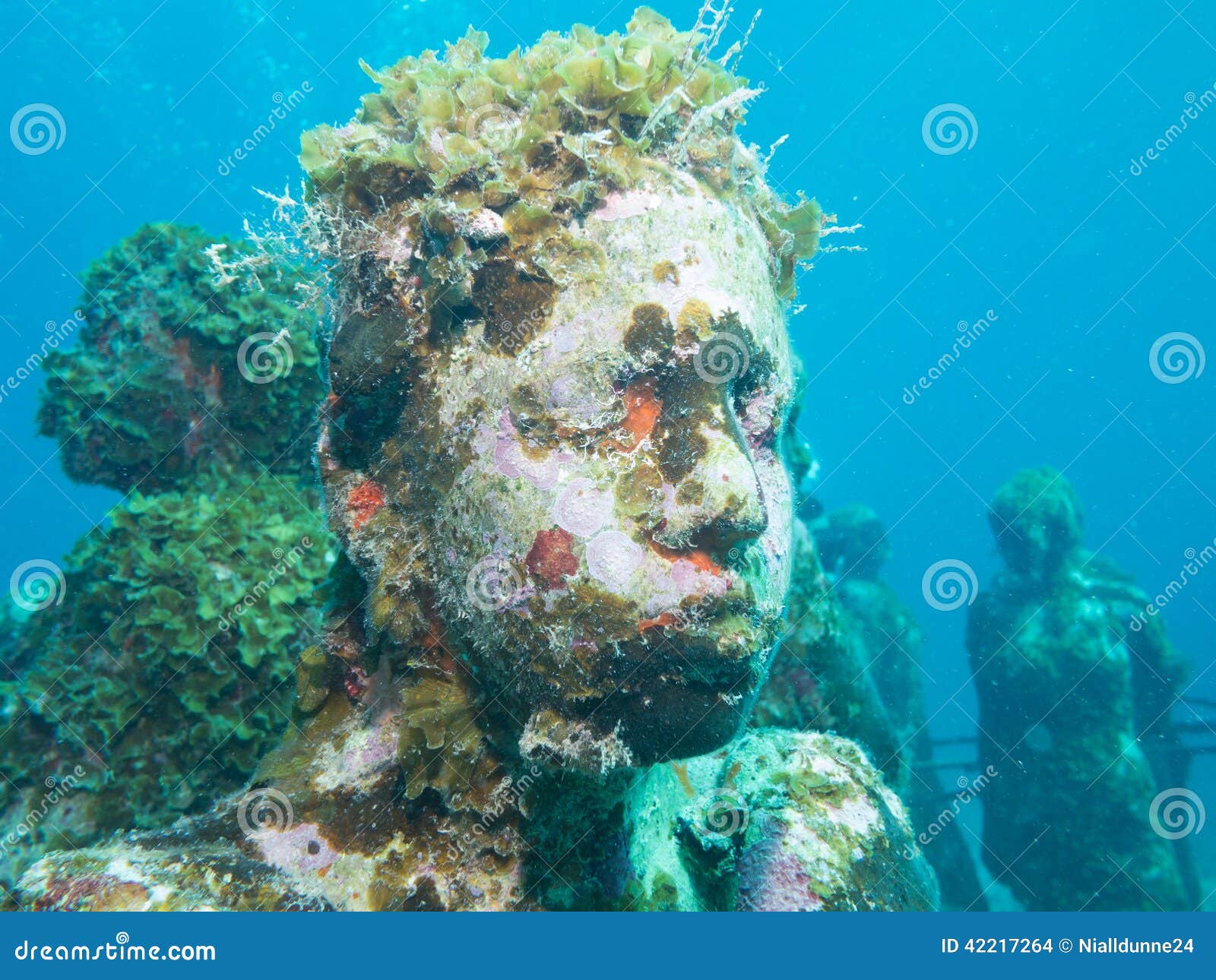 diving at the underwater museum cancun
