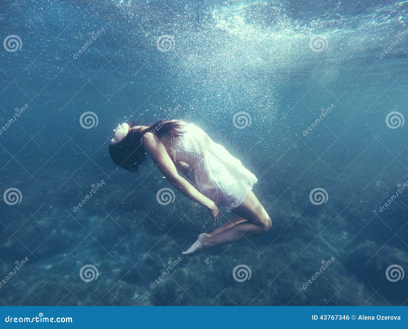 Diving stock photo. Image of person, active, swimmer - 43767346