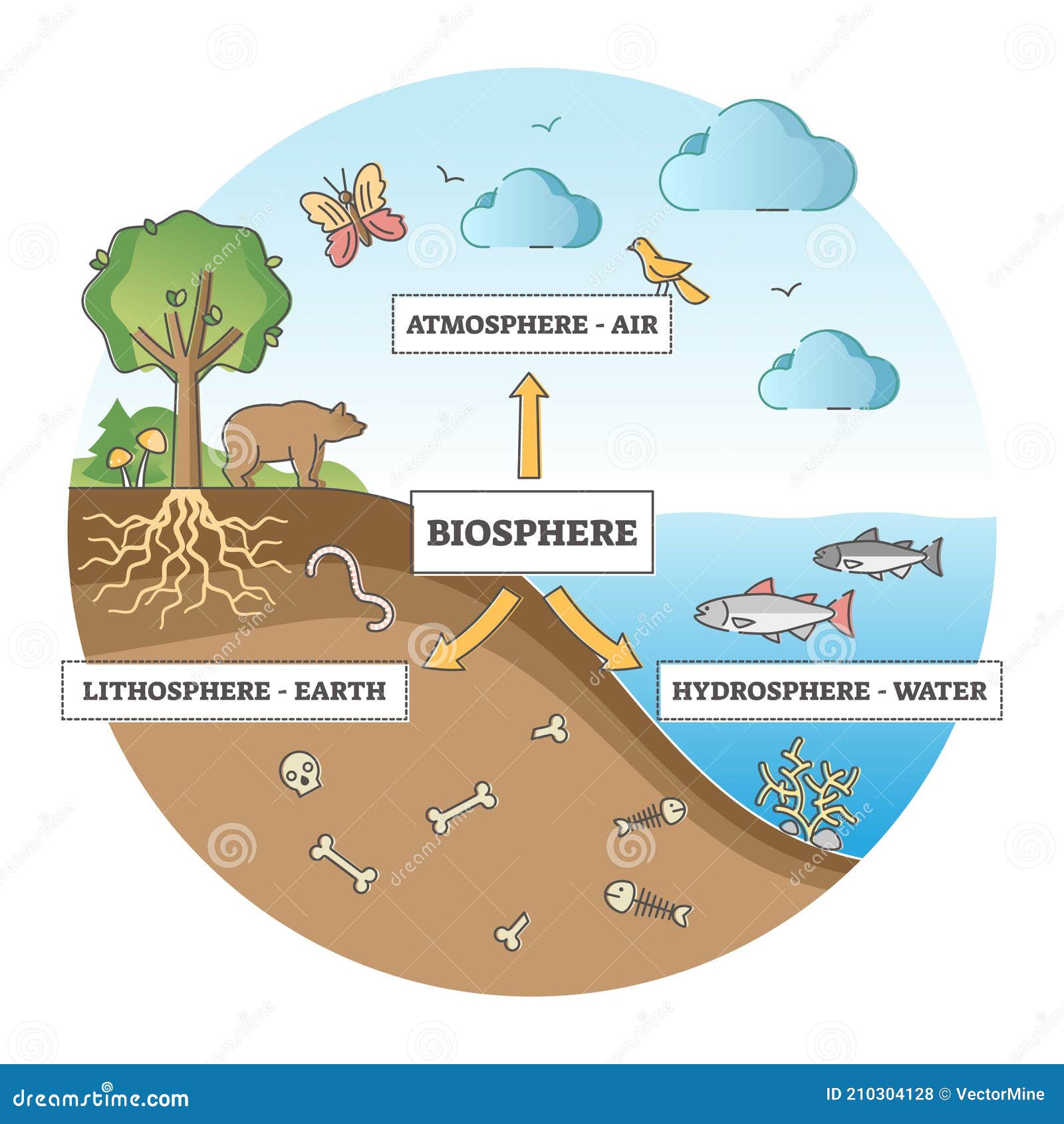 Schéma Illustrant Les Interactions Entre La Biosphère Et L'atmosphère Division De La Biosphère Avec Schéma D'explication De L'écosystème