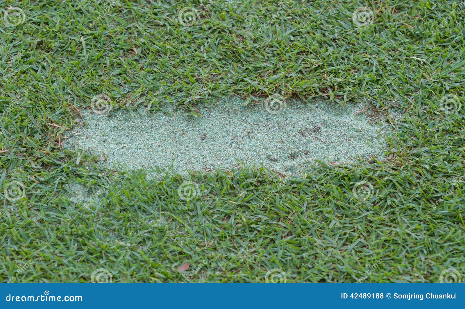 Divot on fairway. stock photo. Image of ball, golf, play 42489188