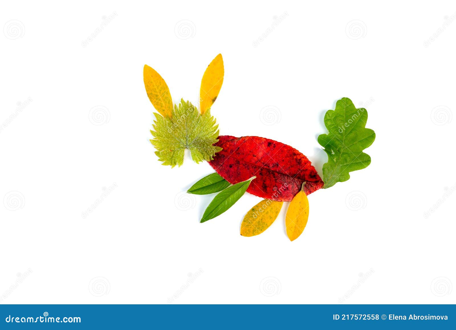 DIY Dry Leaf Clip-art for Kids, Tutorial Stock Photo - Image of seasonal,  fall: 217572558
