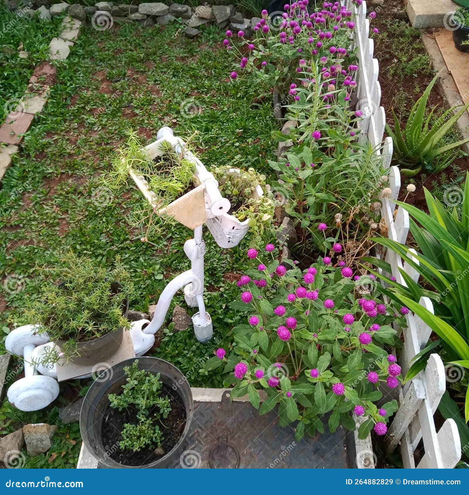 Diy flower garden stock image. Image of grass, lawn 264882829