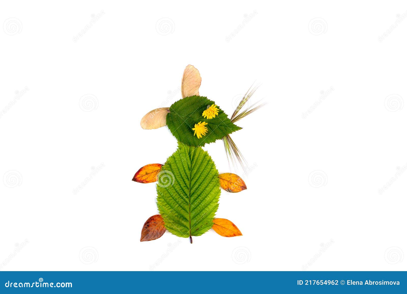 DIY Leaf Craft, Various Colorful Dead Leaves Stock Photo - Image of outdoors, color: 217654962 DIY Leaf Craft, Various Colorful Dead Leaves Stock Photo - Image of outdoors, color: 217654962