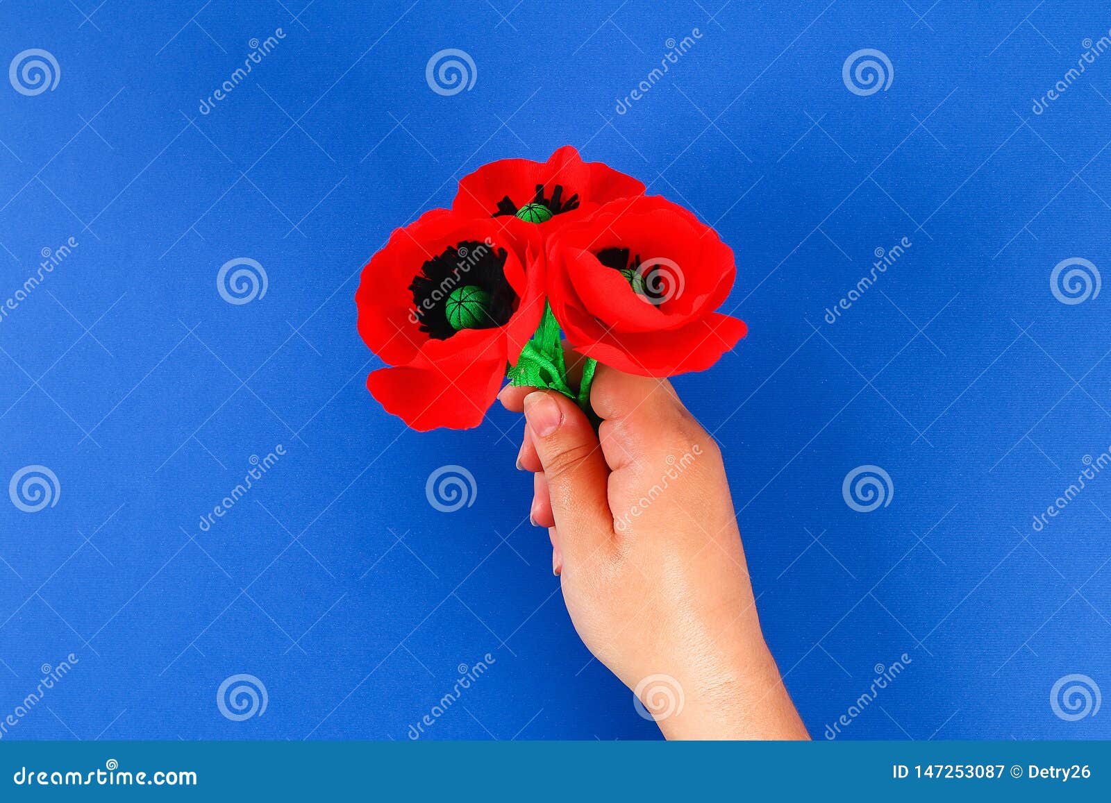 Diy Paper Red Poppy Anzac Day Remembrance Remember Memorial Day Crepe Paper On Blue Background Stock Image Image Of Blue Hand