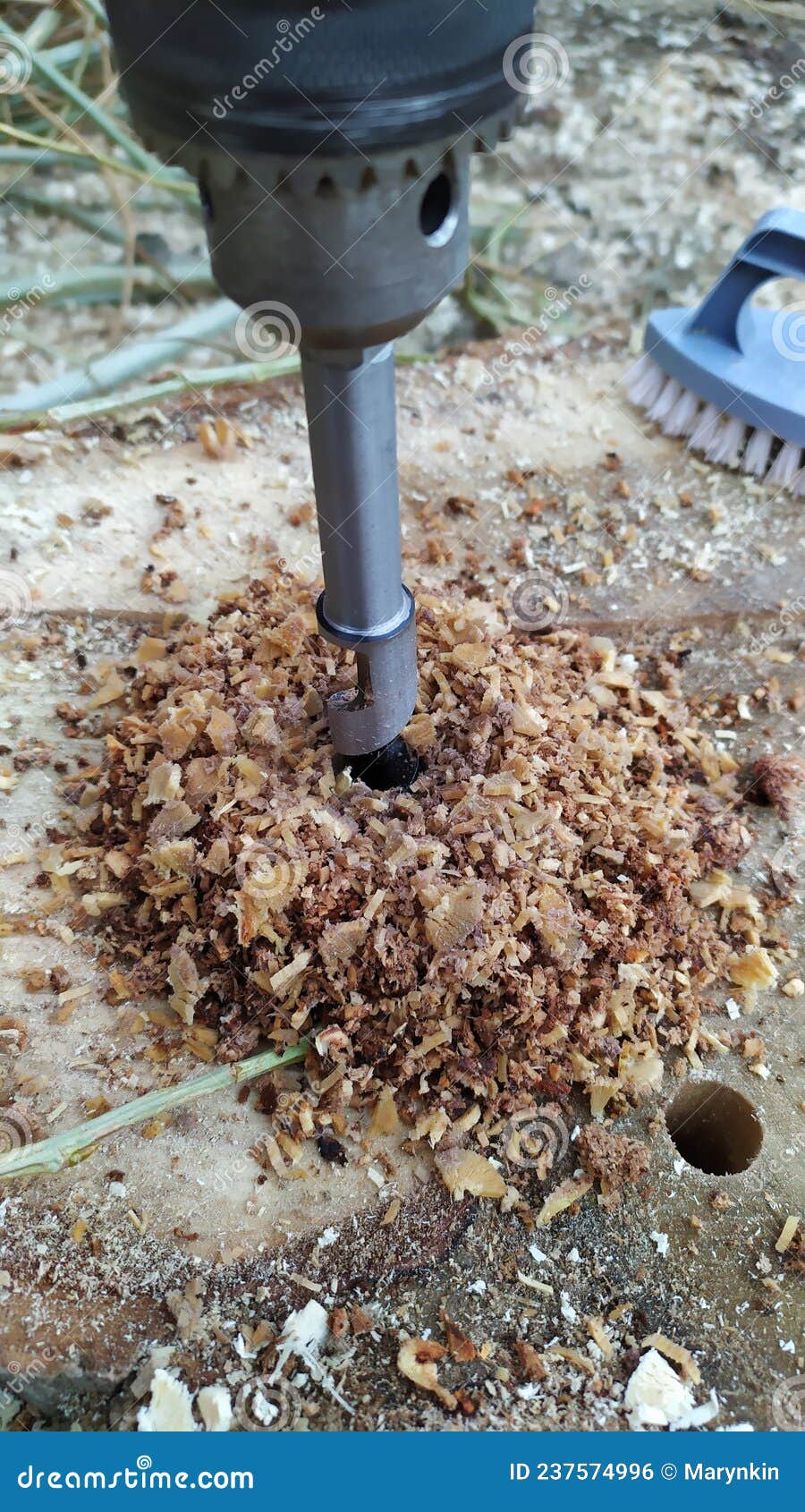 DIY Technique for Removing Old Tree Stump Using Electric Drill Stock