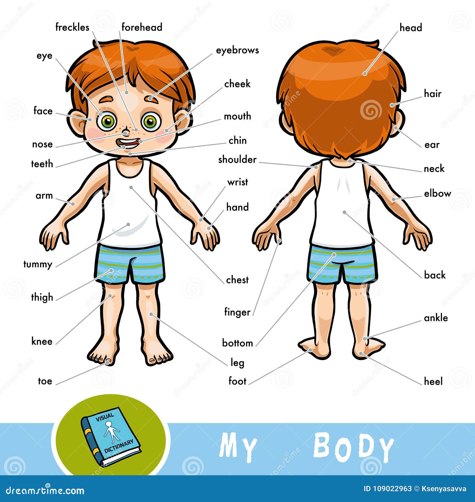 Dizionario Visivo Per I Bambini Circa Il Corpo Umano Il Ragazzo Illustrazione Vettoriale Illustrazione Di Umano Impari