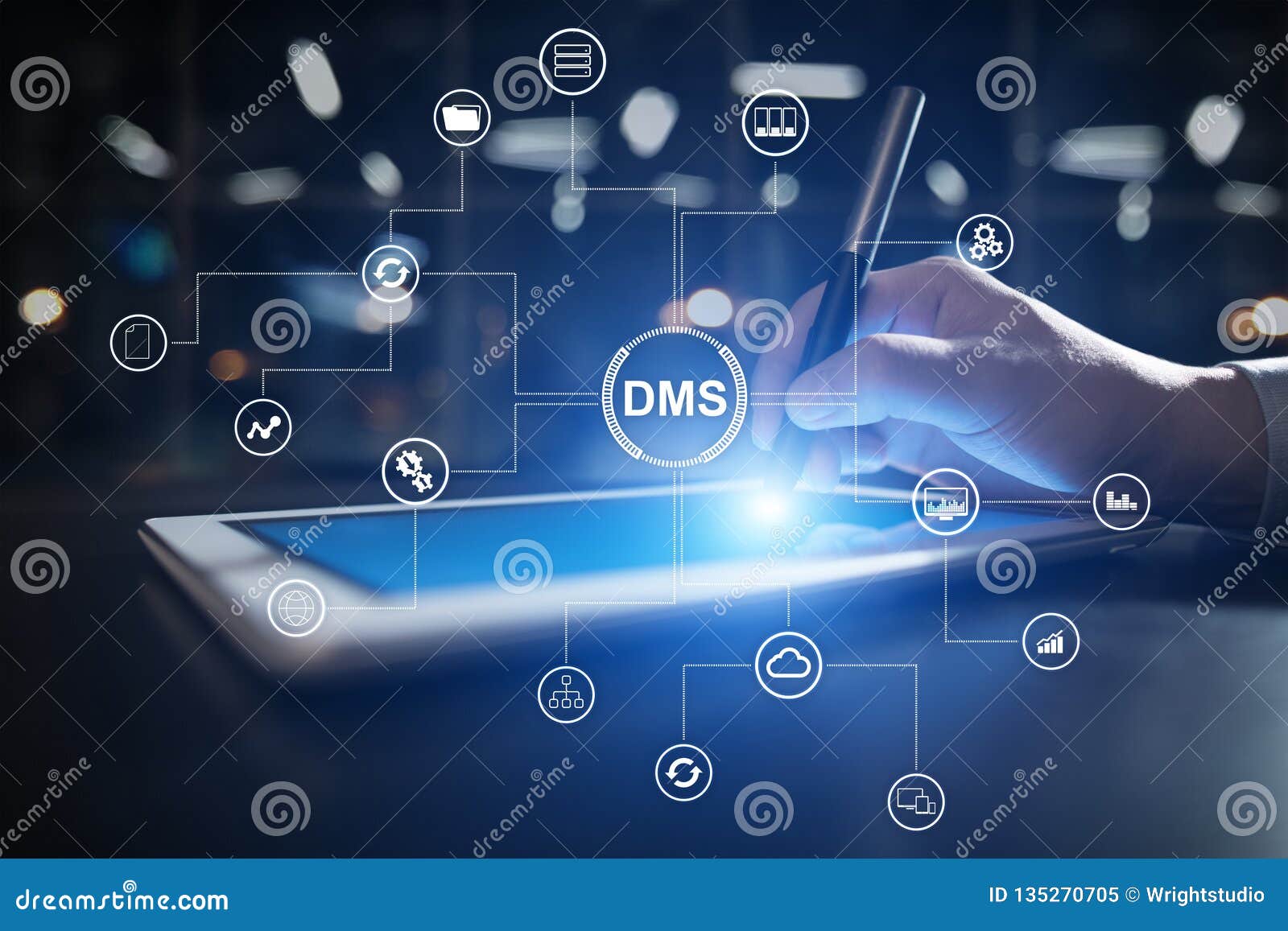 dms data management system structure. document flow and information storage.